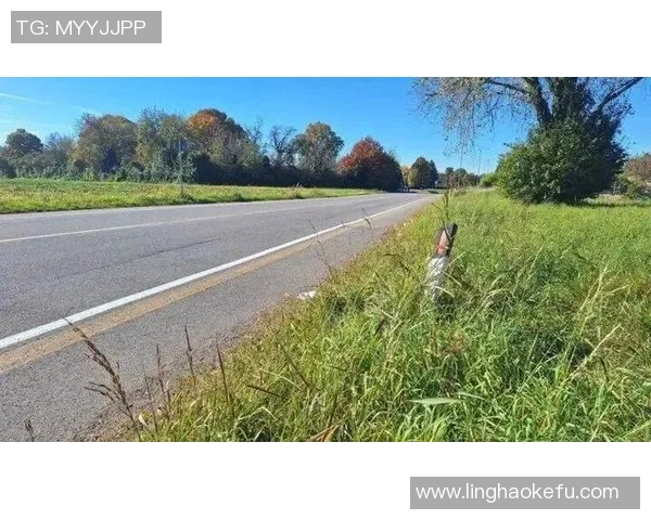 国米门将马丁内斯不幸撞死闯入车道老人事件引发关注