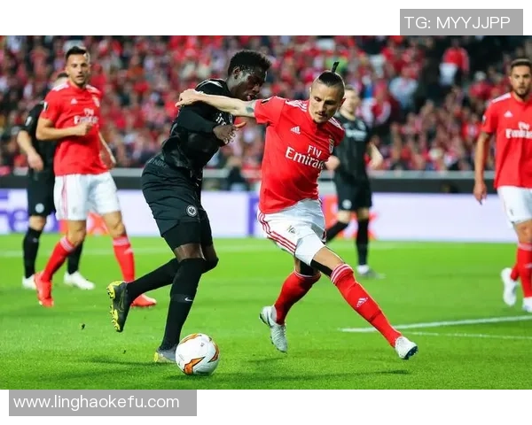 鲁伊科斯塔透露本菲卡不签迪巴拉全力追回菲利克斯 鲁伊科斯塔透露本菲卡不签迪巴拉全力追回菲利克斯