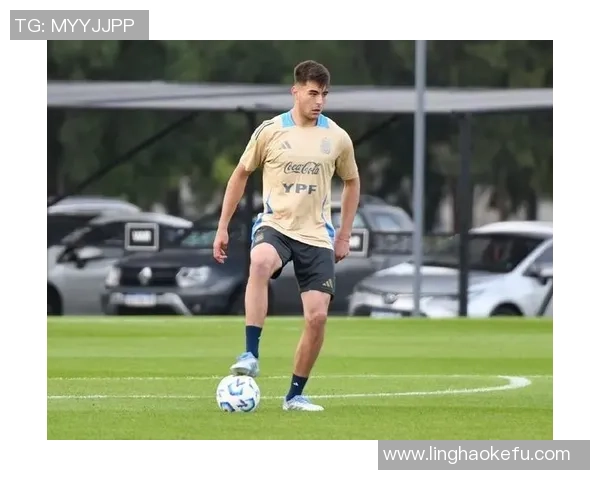 切尔西迅速召回安塞尔米诺德天空确认这一重要消息 切尔西迅速召回安塞尔米诺德天空确认这一重要消息